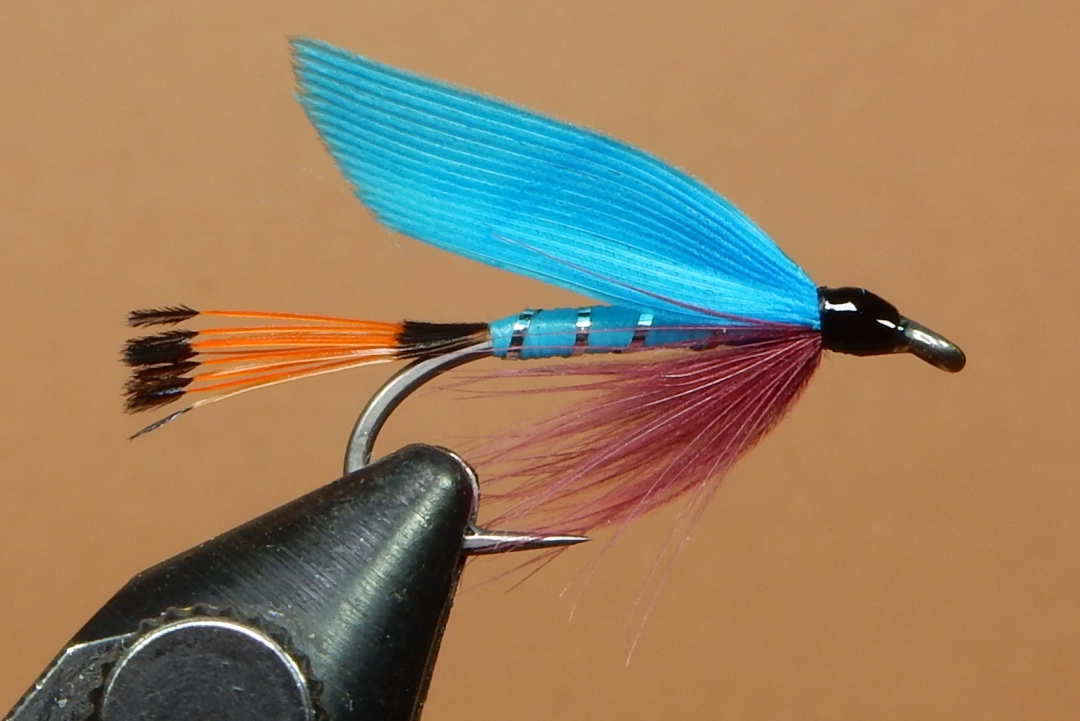 Ilen-Blue-Du-Bois-1080.jpg