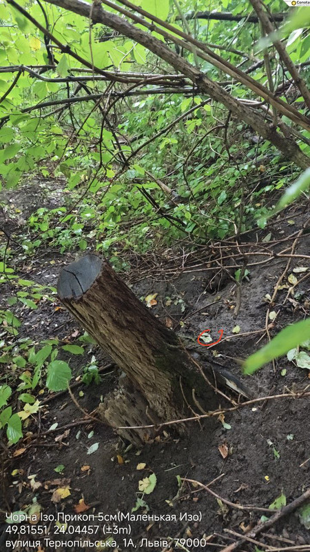 0f12bcaa4fe17ec838a2ab7ef69f383285c1