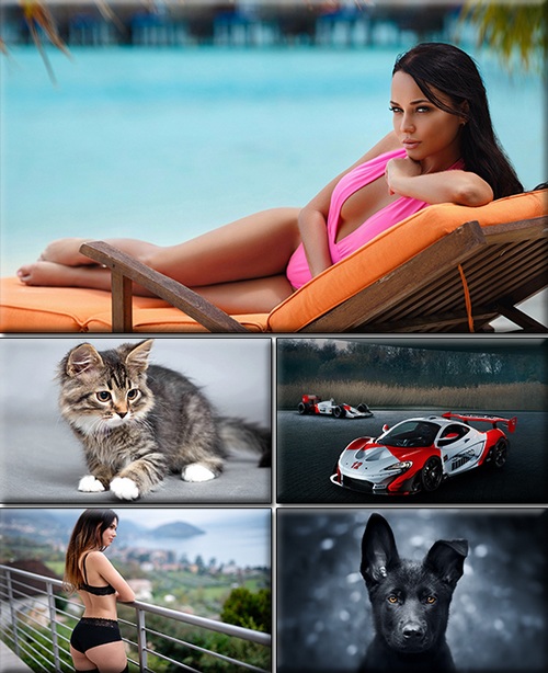 Computer Desktop Wallpapers Collection. Part 2074