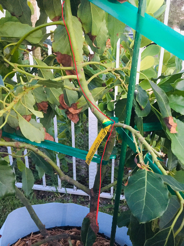 FB8B6CD1-6FE1-492D-9F20-6243883A26C3