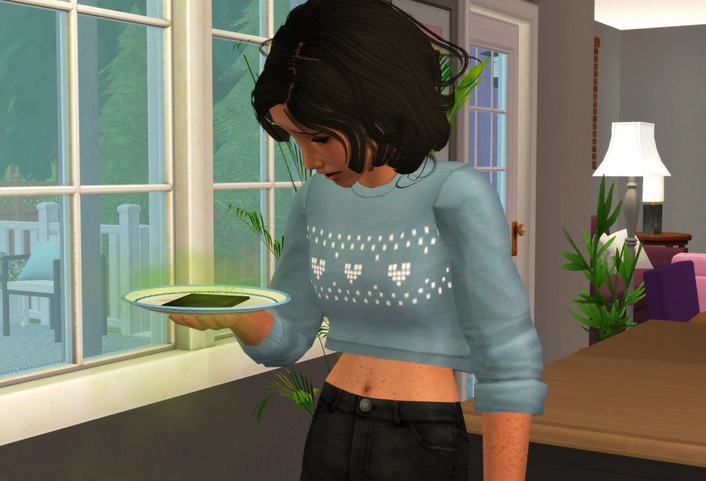 Sims2-EP9-RPC-2021-08-14-18-56-12-88