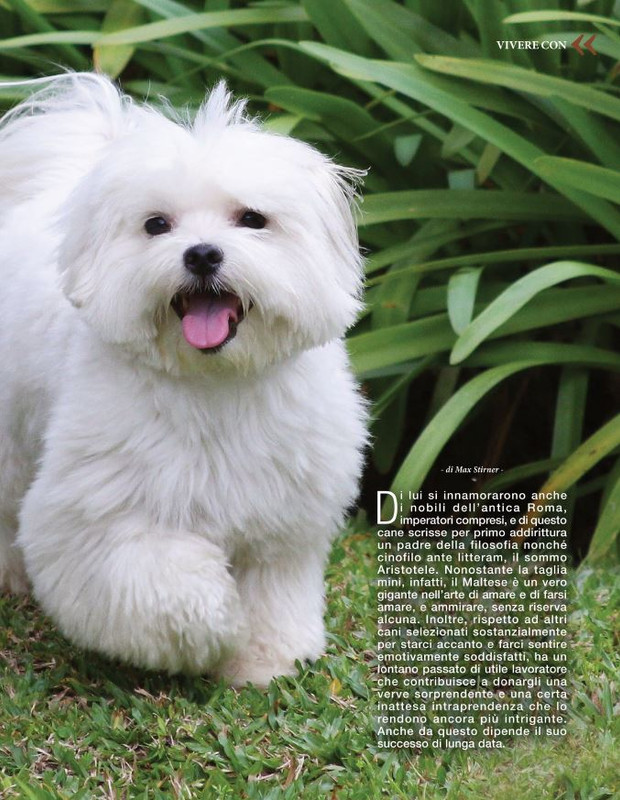 Argos Ago-Set 2022 (4)