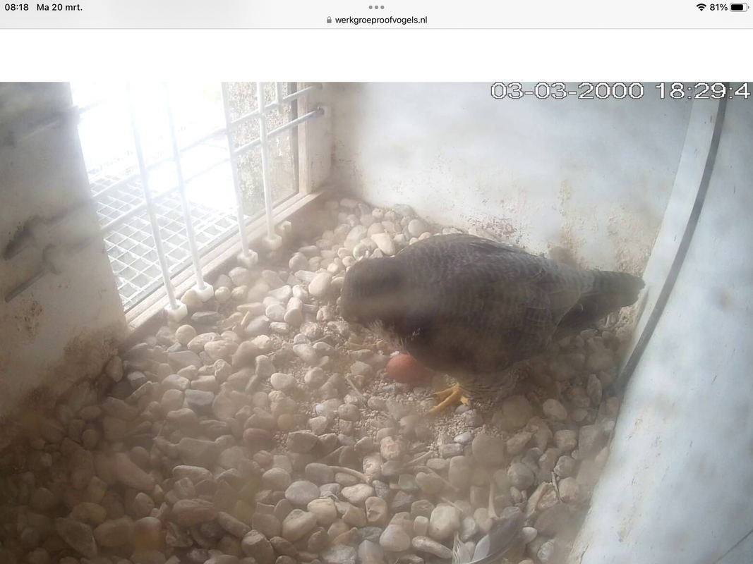 4577EE49-BF77-4502-838B-D7C41B178559