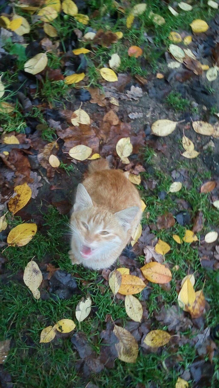 035776F7-7307-4998-BE05-E124D06622A5