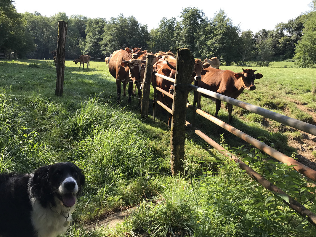 3D7D0BF9-4951-48F6-8ADD-1B3FF31EA084