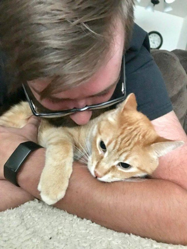 Pets-19