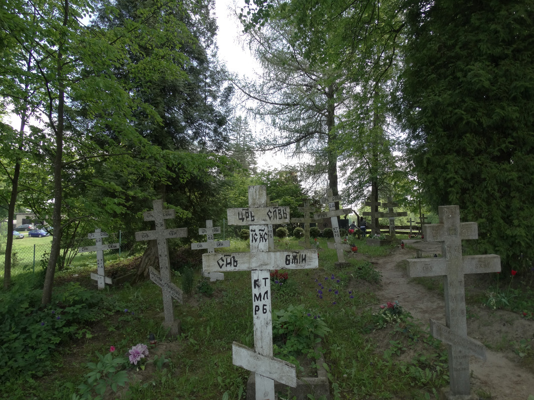 10 - DSC03831 (Czesio1)