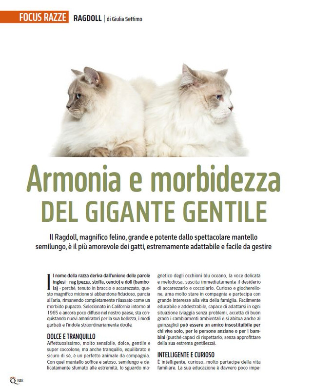 QuattroZampe Giu 2024 (9)