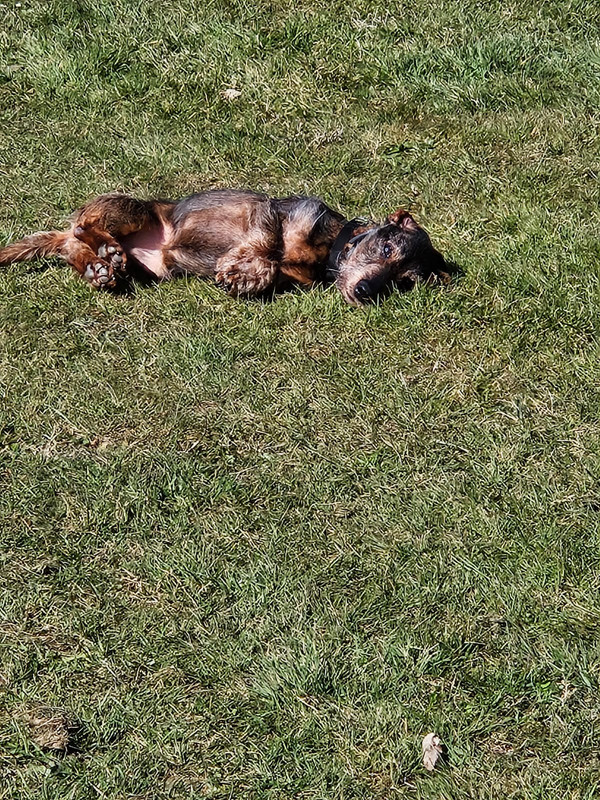 [Image: IMG-20250319-WA0004.jpg]