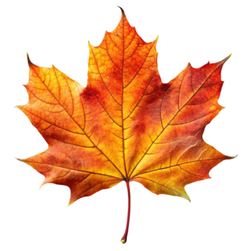 pngtree autumn leaf mid festival halloween png image 13885190