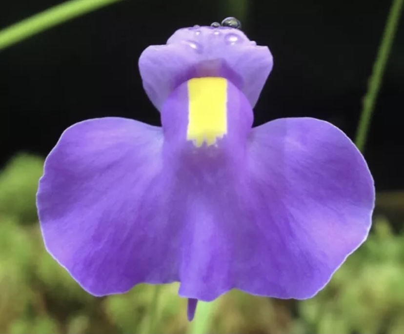 9EC0703F-4F18-44DD-9C8E-62E3A8A66DFF