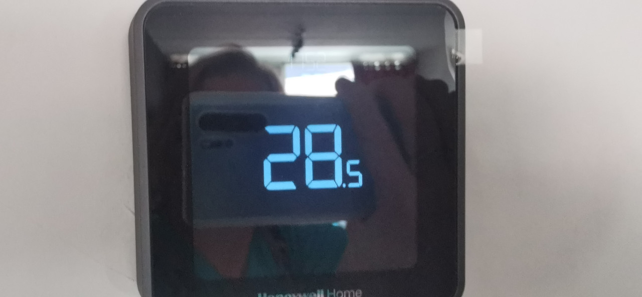 IMG-20220812-175222.jpg