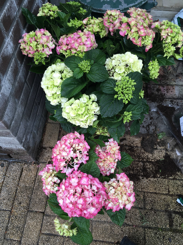 52661A31-70BB-49F7-8E0B-C57A564C1822