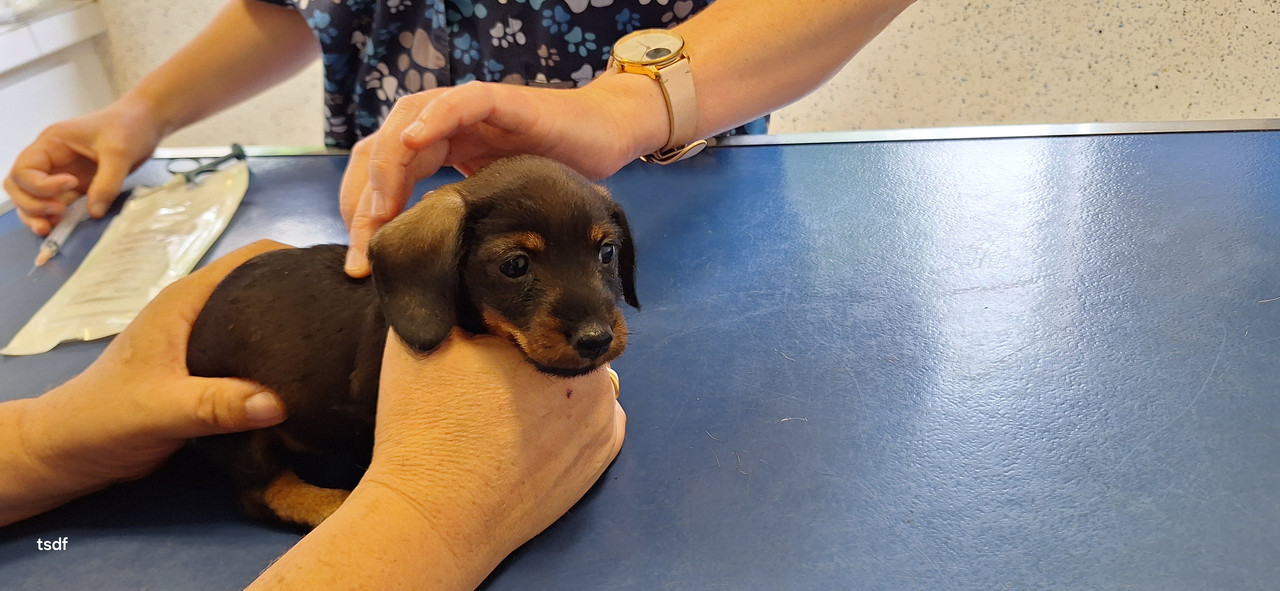 [Image: 20250606-180907.jpg]