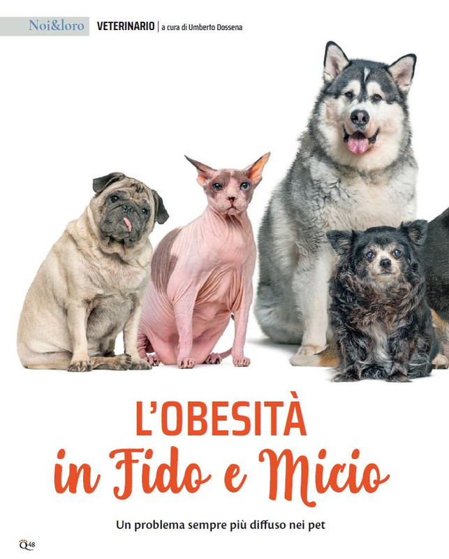 QuattroZampe Apr 2023 (5)