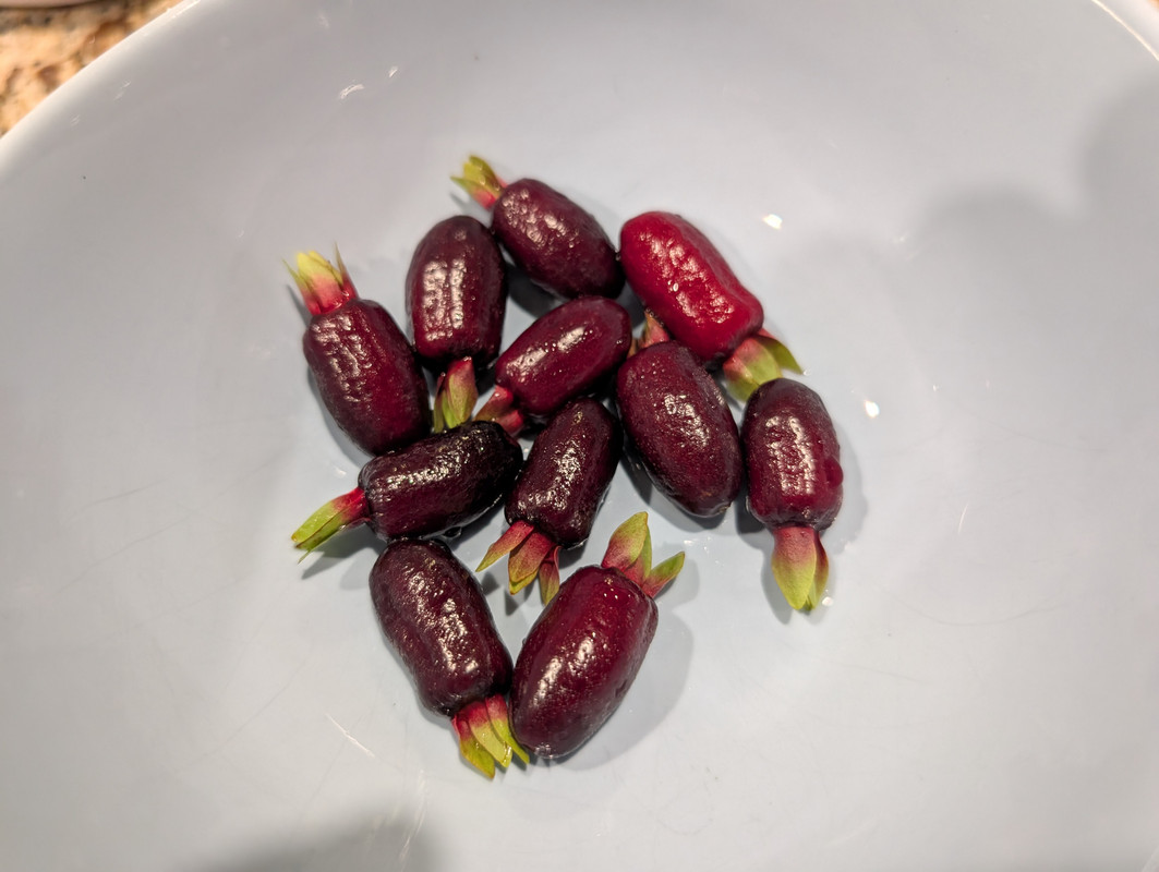 rio_fruit