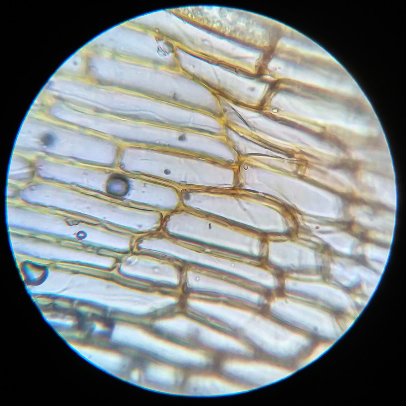 IMG 20250614 112257 HDR