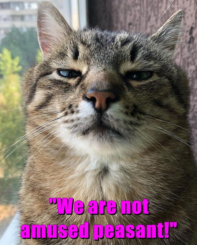 we-are-not-amused-peasant