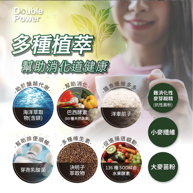 截圖 2026 03 23 下午4 39 16