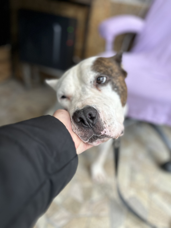 A130136C-A635-4E50-8B7E-491B8678D205