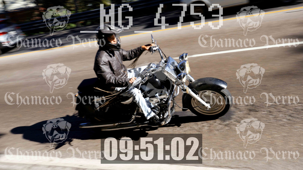 MUESTRA MG 4753 — Postimages