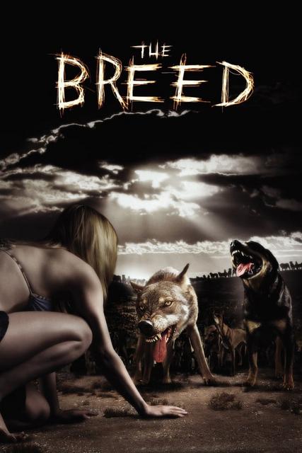 ხროვა / The Breed / xrova