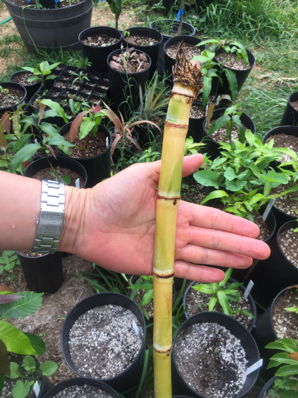 418D1A40-2AF5-40C2-96A8-476D76533E49