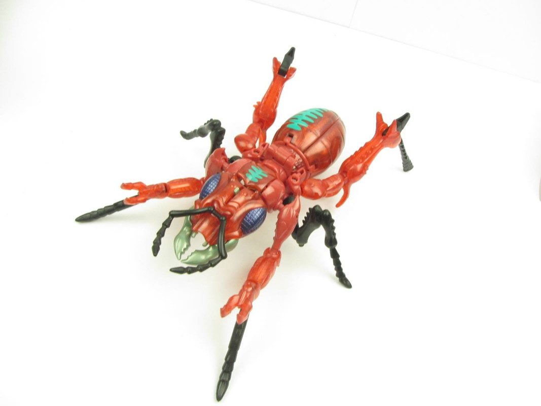 30072770_2102796373068244_2686594924482349038_o