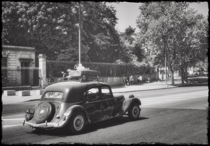 IMG_7016tbn1.jpeg.1b033b9452d3535e33cc30c4d0300929