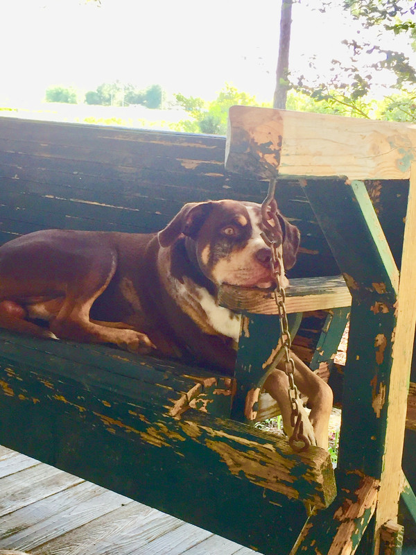 CEFE6939-00D2-4DE4-9B02-F61A227D21FD