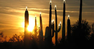 images-5.jpg
