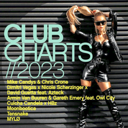 0c6e8d3e 1803 48c3 ac55 3dba2c501b6d - VA - Club Charts (2023)