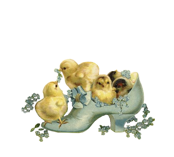 0_1c0c79_5b73fa6c_orig