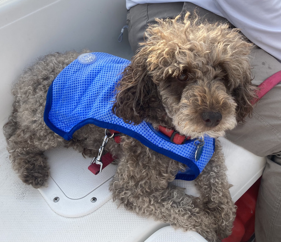 F86A3780-9643-4CC3-A9C3-DA35ABAD3327