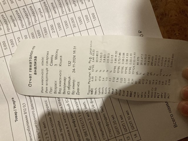 D7223E6F-1024-4E37-BF09-B43F4C041B98