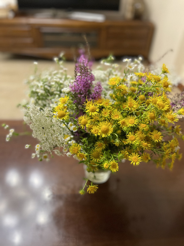 54D440EA-838B-4635-B360-33407760F69F