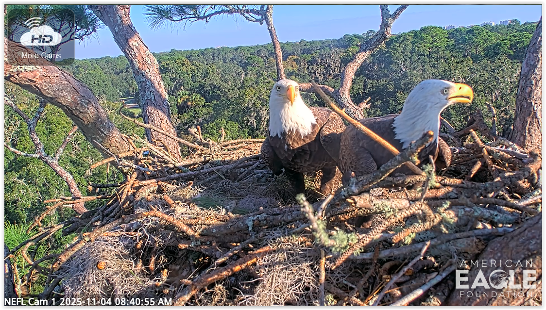 Screen Shot 11 04 25 at 02 44 PM 001