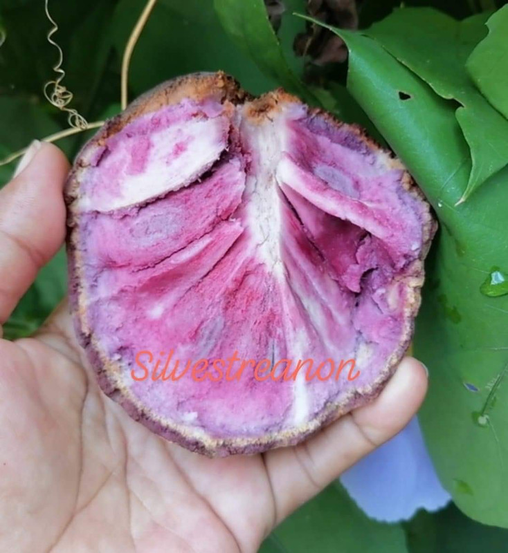 3B959CB9-56B3-4232-8749-26CE0DC3F305