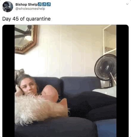 quarantine-isnt-getting-normal-either-27