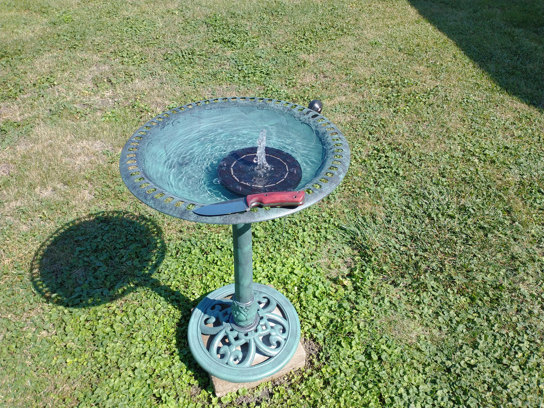 IMG-20220908-111531395.jpg