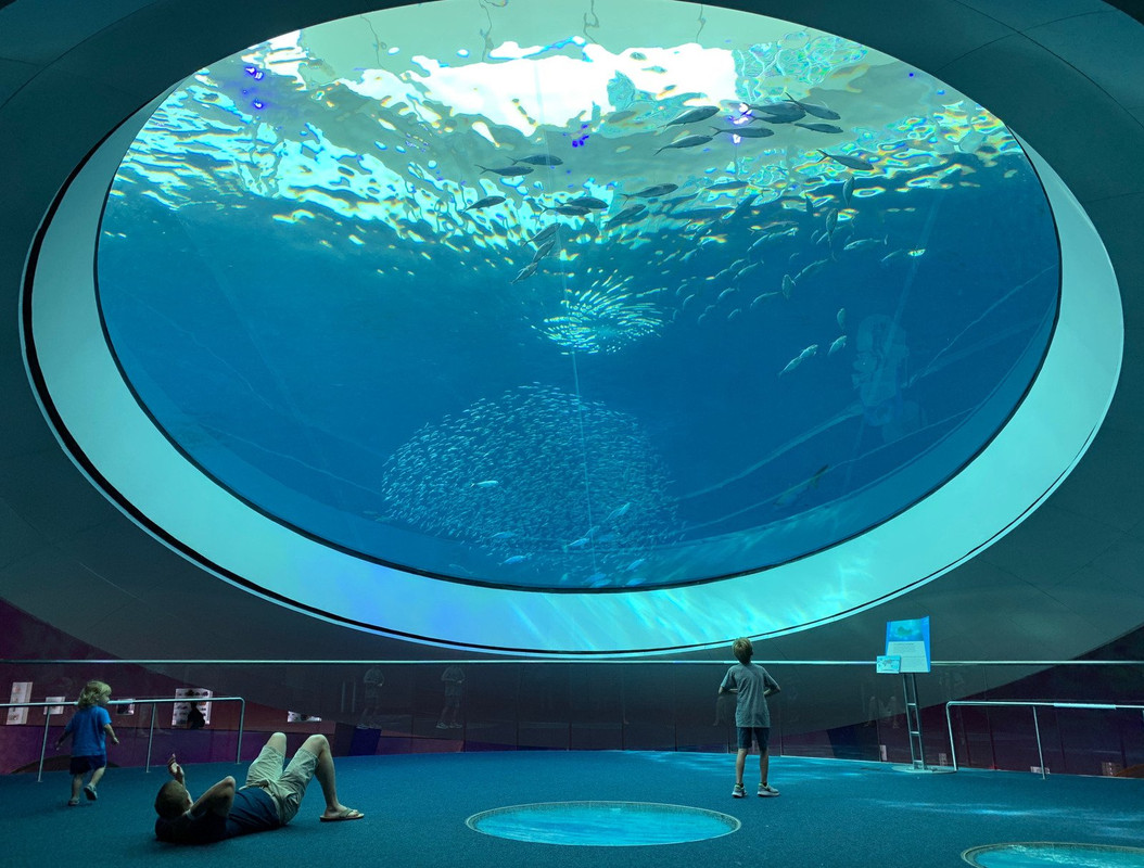 turquoise-aquarium.jpg
