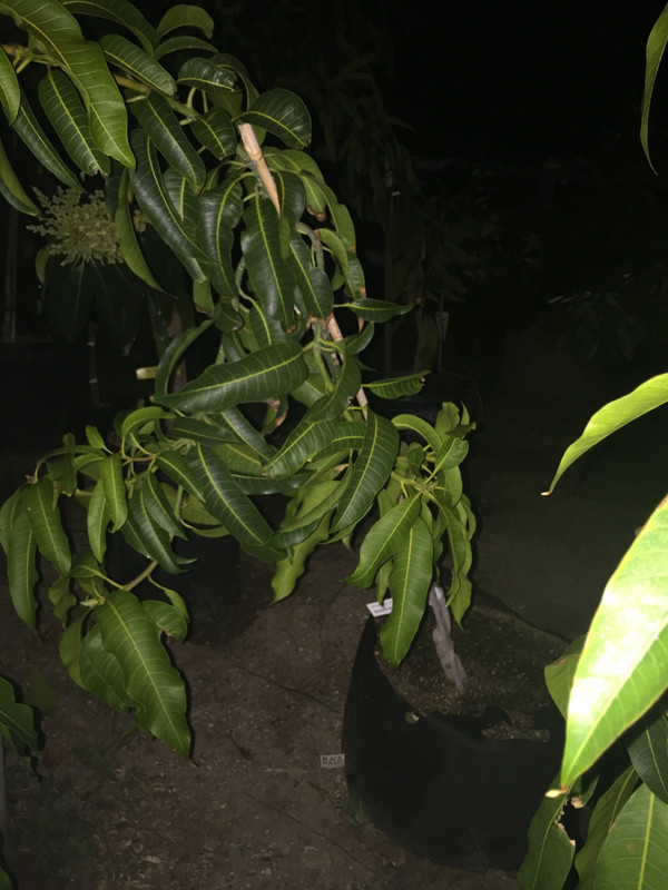 35332F0C-C51E-4888-9D8B-DFEEE60F351B