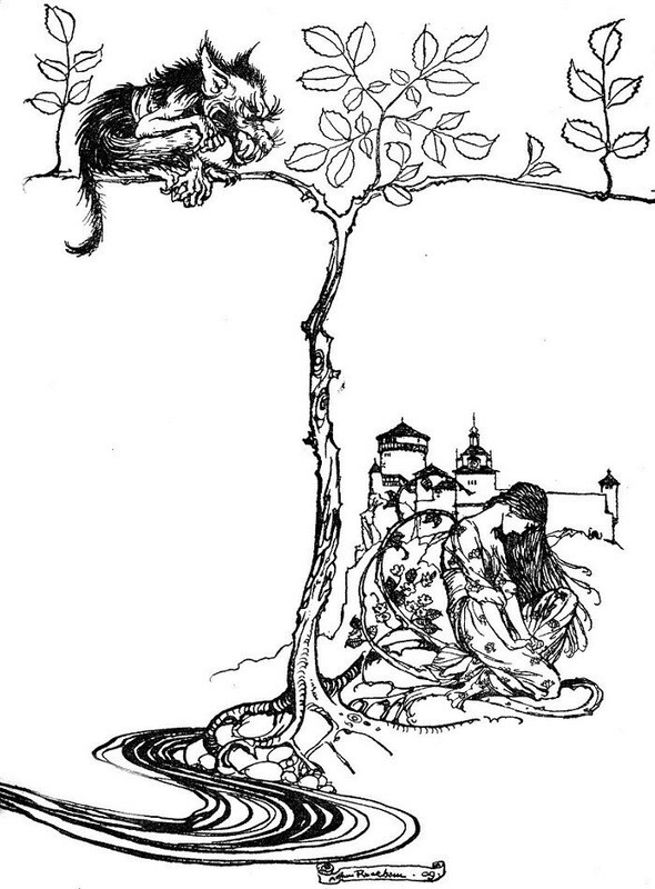 24