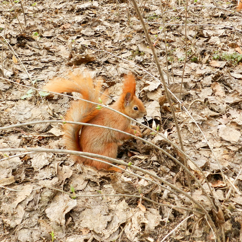 IMG_20170406_013259_164