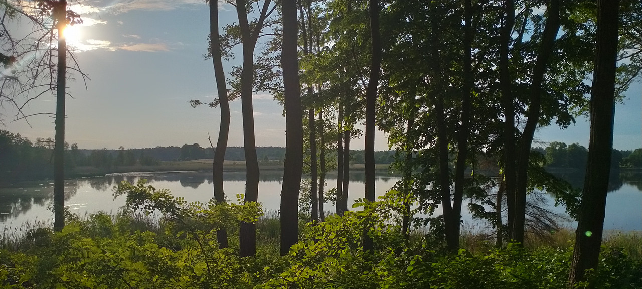 14.13 - IMG20210605191447 (VdL)