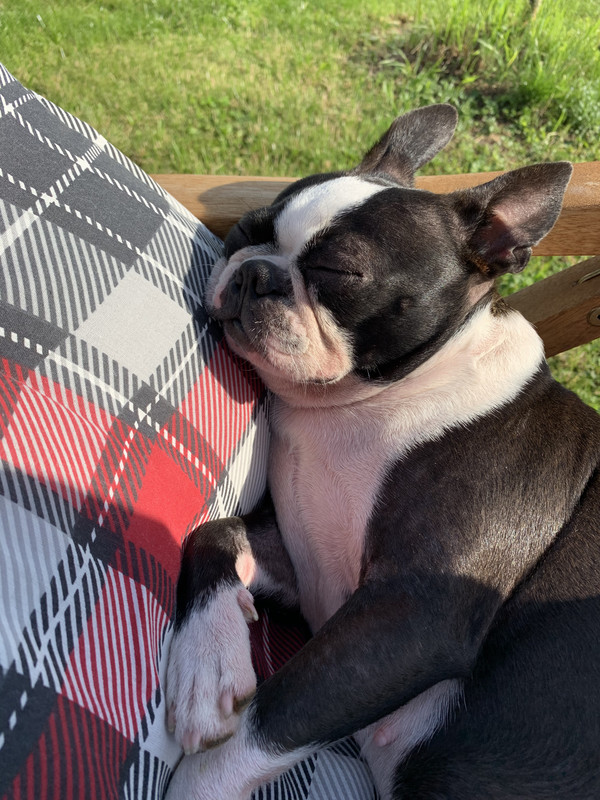 8466BEBB-902F-49C9-94EB-46FD41833AA0