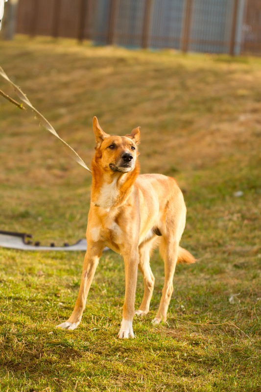 без имени-5365