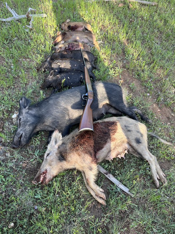 C5FA38CC-F5C9-4E0D-82B8-8D1CEDE609CE