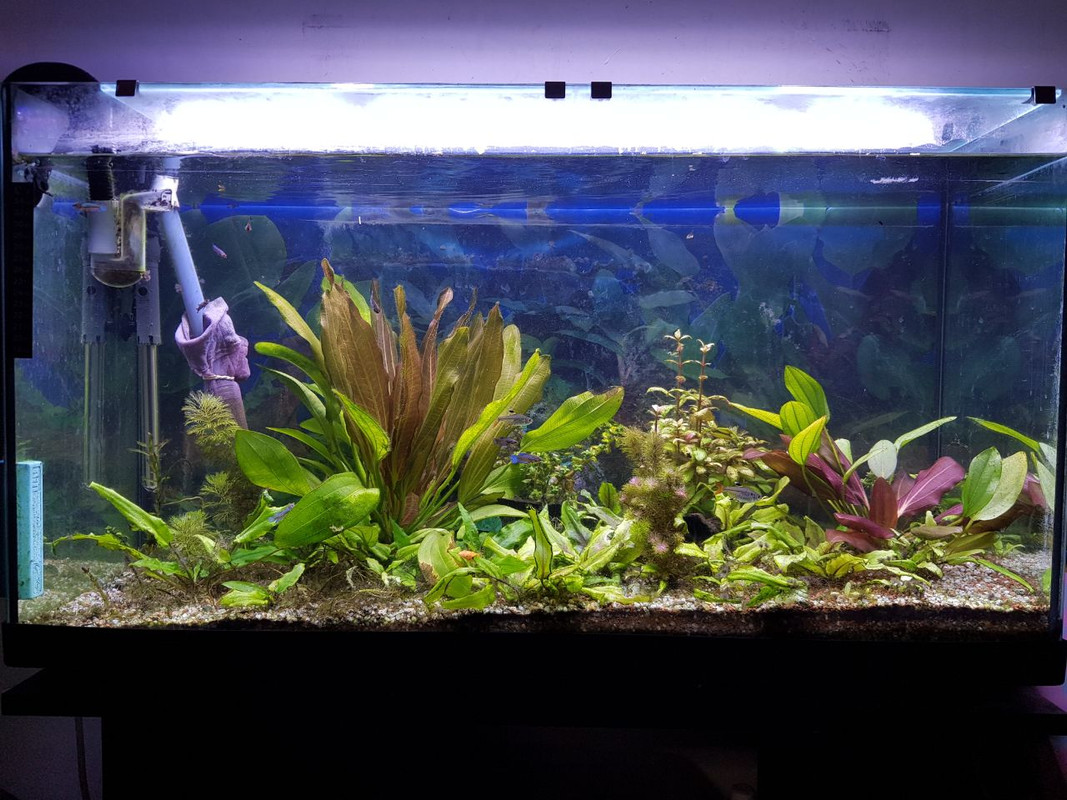 8CB56CD1-E4E5-4BF4-8FCF-CEF0A85D31A0