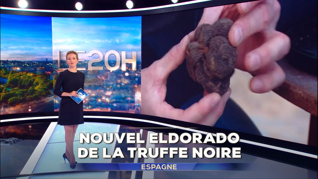 29 December - 19.00.00 - Journal. Pas de description disponible.